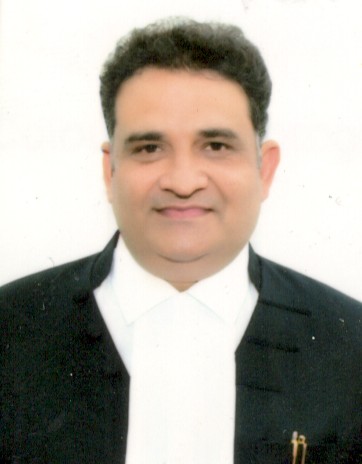 Hon'ble Mr.Justice Vivek Kumar Singh